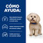 6 kg Hill's Prescription Diet z/d Food Sensitivities Mini para perros, , large indicador imagen numero 4